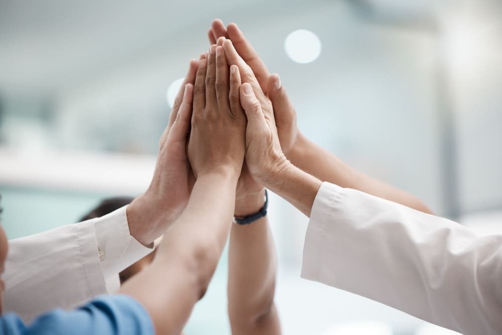 Empleo - New York Spine Specialist