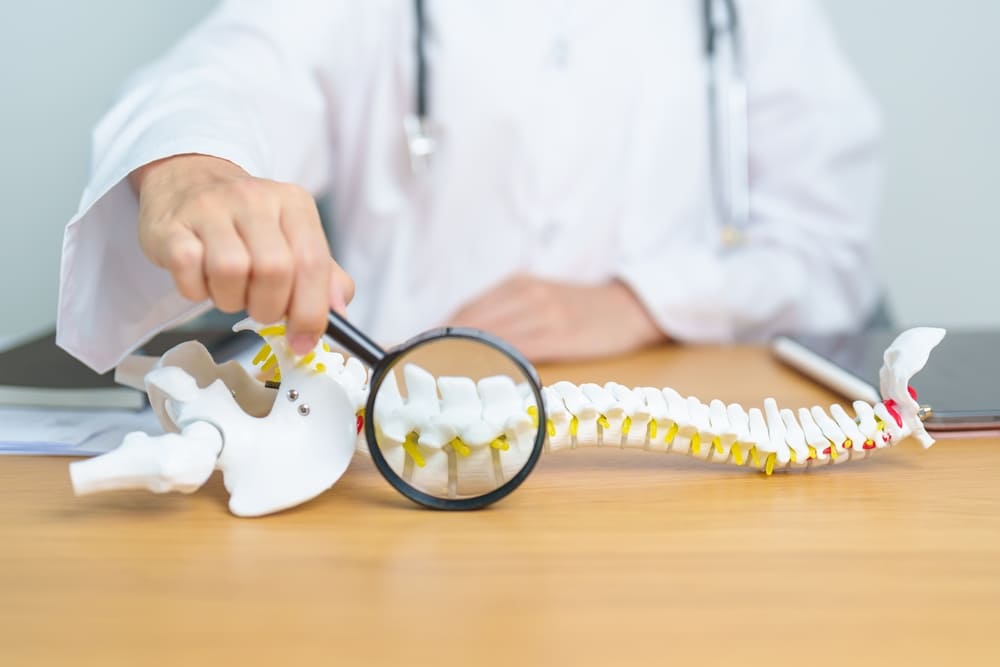Degenerative Disc Disease Spine Specialist